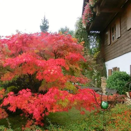 Bayerwald Apartment Bayerisch Eisenstein